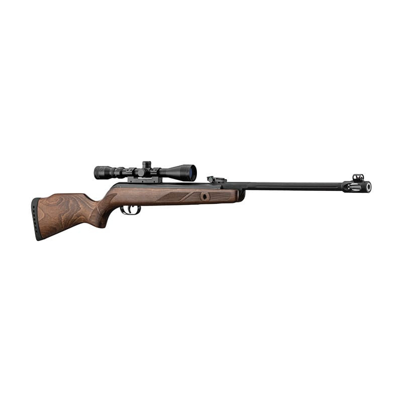 Carabine à Air Comprimé GAMO Hunter 440 AS + Lunette 3-9x40 WR