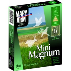 mini magnum