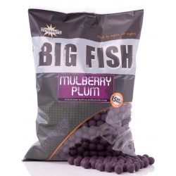 mulberry plum 1kg 20mm