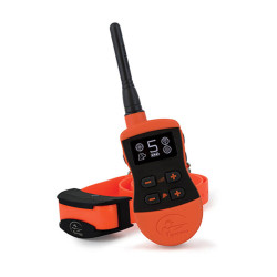 Collier de Dressage SPORT...