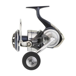 Moulinet exotique DAIWA...