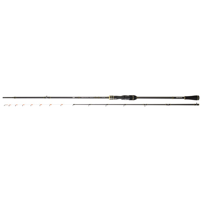 Canne DAIWA Team Daiwa Tenya 712 HB