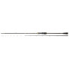 Canne DAIWA Team Daiwa Tenya 712 HB
