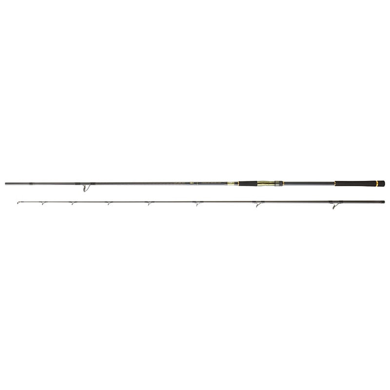 Canne DAIWA Crosscast 1002 XHFS