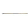 Canne DAIWA Exceler Telereglable 60 R