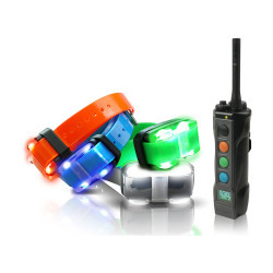 Kit Collier & Beeper DOGTRA...