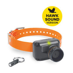 Kit Collier & Beeper DOGTRA...