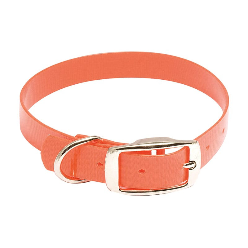 Collier Pour Chien COUNTRY Hiflex Orange Fluo