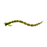Leurre souple WESTIN Bloodteez Worm 5,5cm