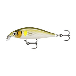 Leurre RAPALA X-Light Minnow 5