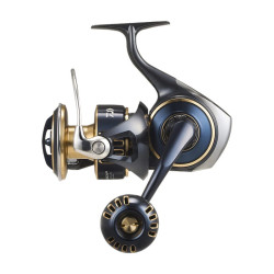 Moulinet exotique DAIWA...