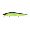 Leurre dur MEGABASS Vision 110 FW