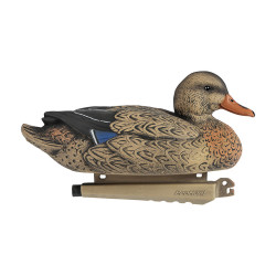 Appelant PRO HUNT Colvert...