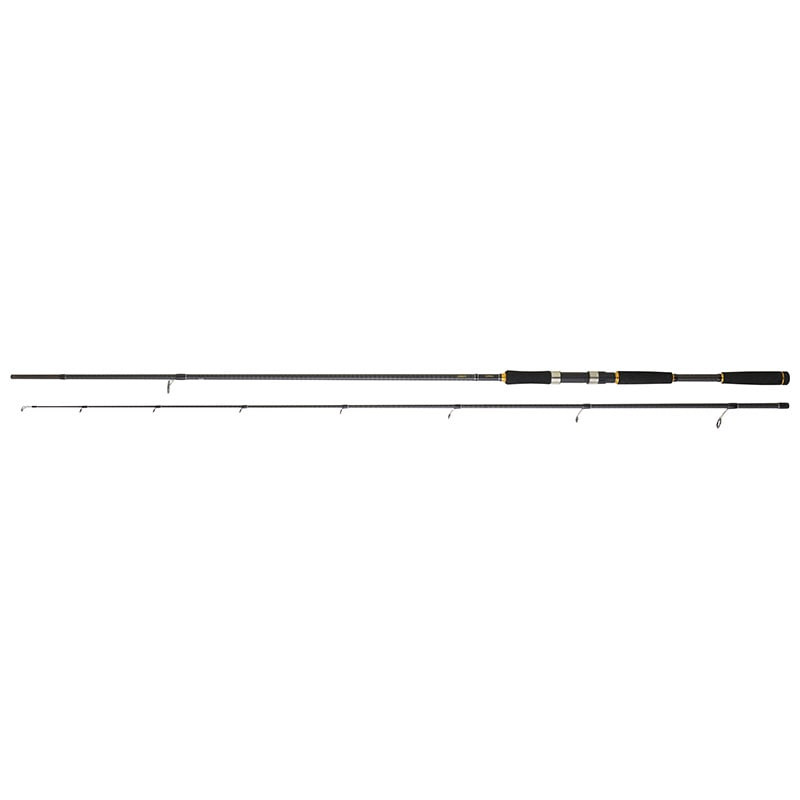 Canne DAIWA Legalis Seabass 902 HX HFS