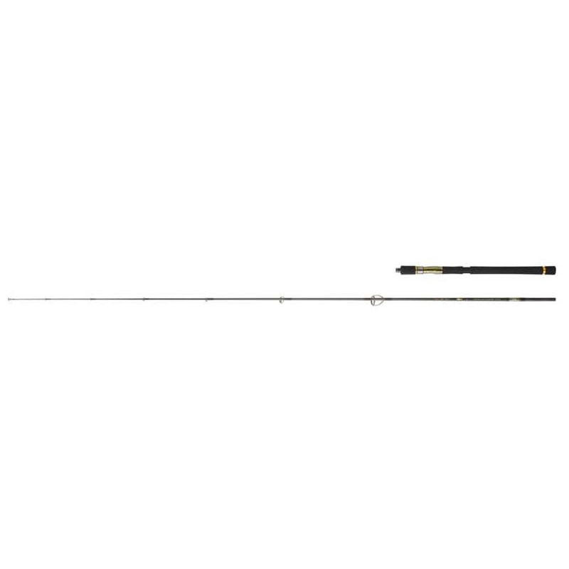Canne DAIWA Crosscast S 702 XXHFS OS