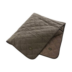 Couverture LE CHAMEAU...