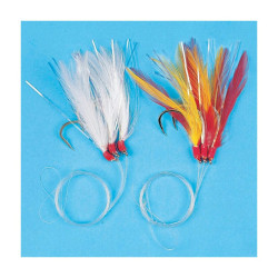 Plumes de mer FLASHMER...