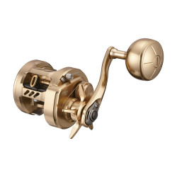 Moulinet casting DAIWA...