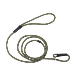 Laisse de Présentation STEPLAND 2M