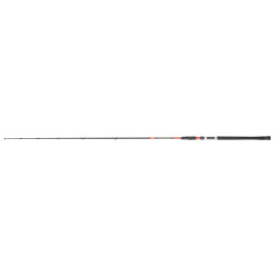 Canne DAIWA Megaforce Big Fish 262 H