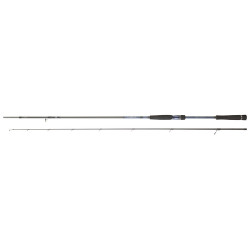 Canne DAIWA Labrax Seabass 802 HFS