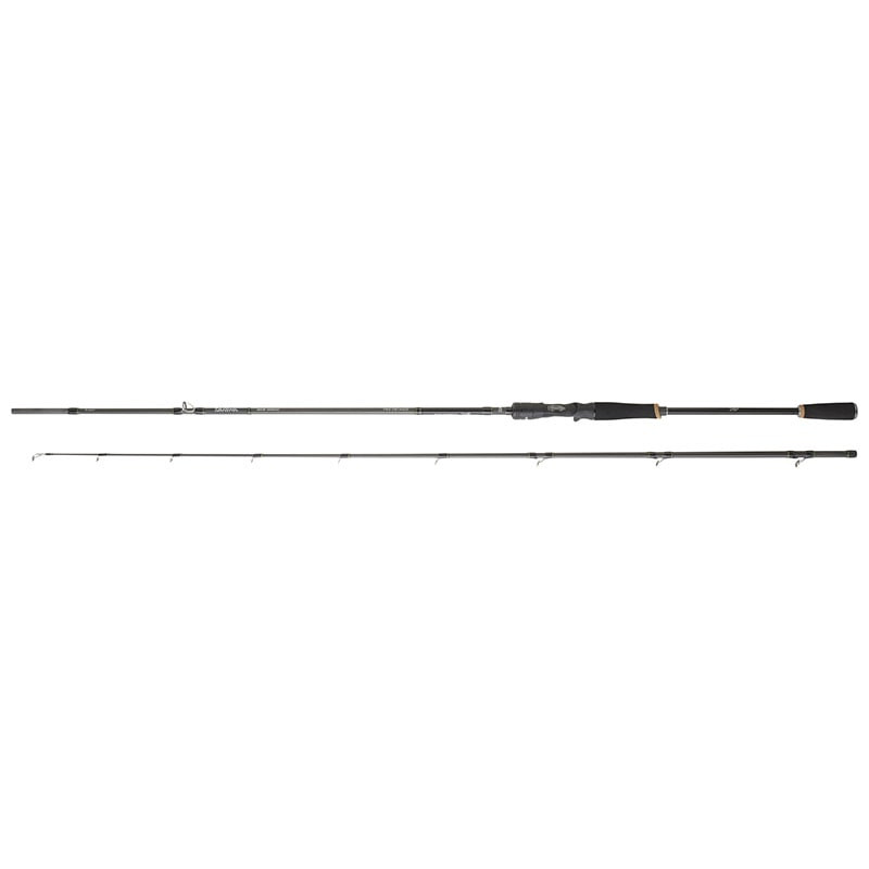 Canne DAIWA Prorex XR Casting 782 XHFB