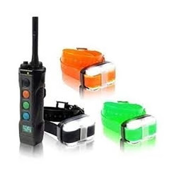 Kit Collier & Beeper DOGTRA...