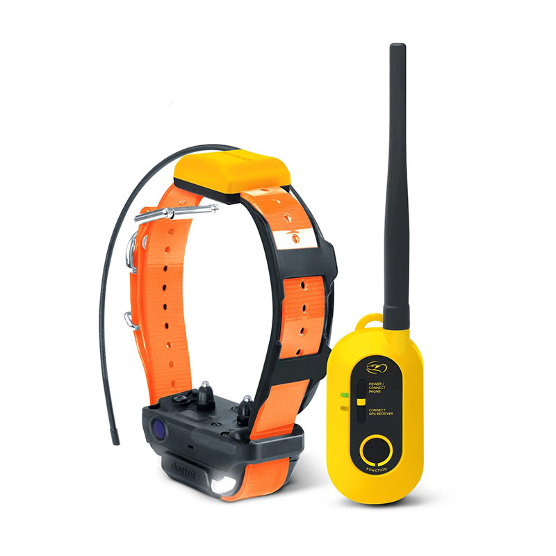 Kit Collier & Beeper DOGTRA Pathfinder 2