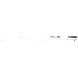 Canne DAIWA Tournament AGS 862 HMHFS