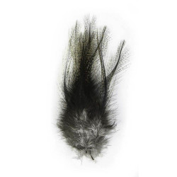 Pardo incendido MDC Pardo...