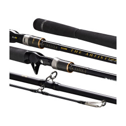 Canne Casting Illex The...