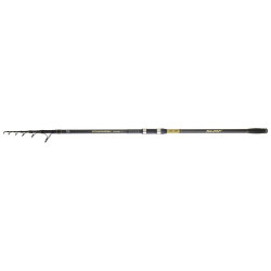 Canne DAIWA Powermesh Tele...