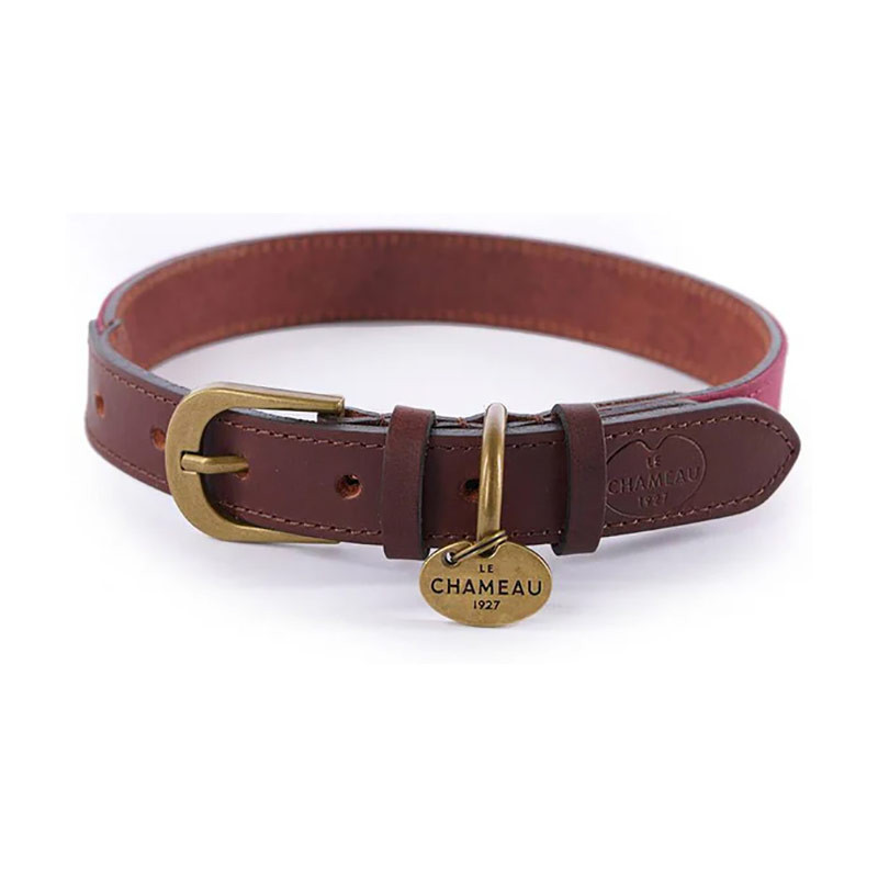 Collier LE CHAMEAU En Coton Pour Chien