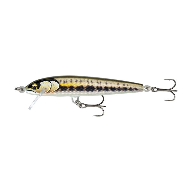 Leurre RAPALA Floater Elite 85