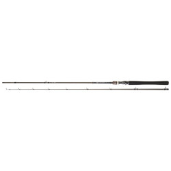 Canne DAIWA Exceler Casting 662 MHFB