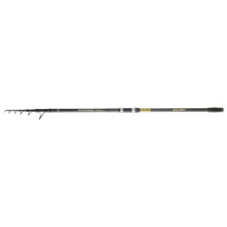 Canne DAIWA Powermesh Tele Surf 24 - 420 140 T