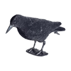 Coque STEPLAND Corbeau Floque