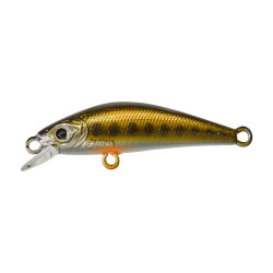 Leurre dur GUNKI Gamera 39 HW