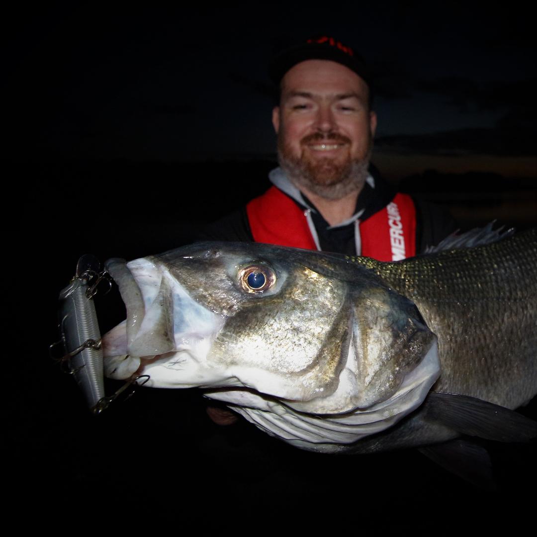 La nuit, les poissons nageurs fonctionnent aussi. Mais il est préférable de ralentir les animations et de réaliser des pauses.