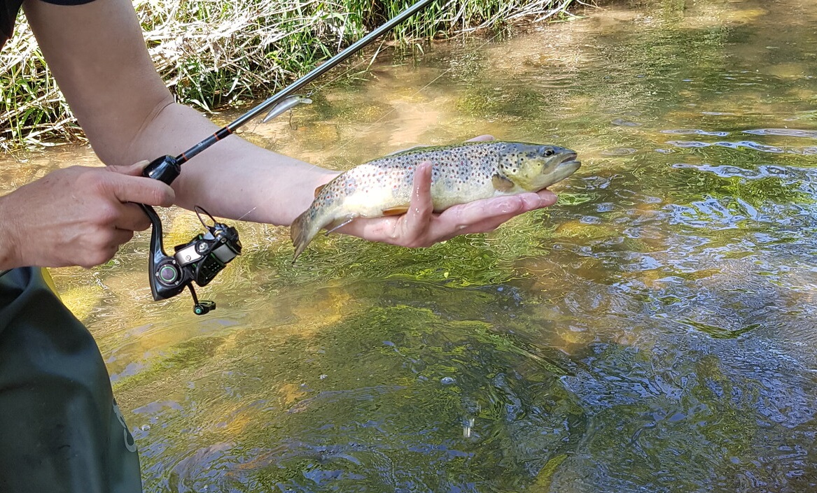 Votre sélection de leurres doit vous permettre d'aborder toutes les configurations de spots rencontrées.