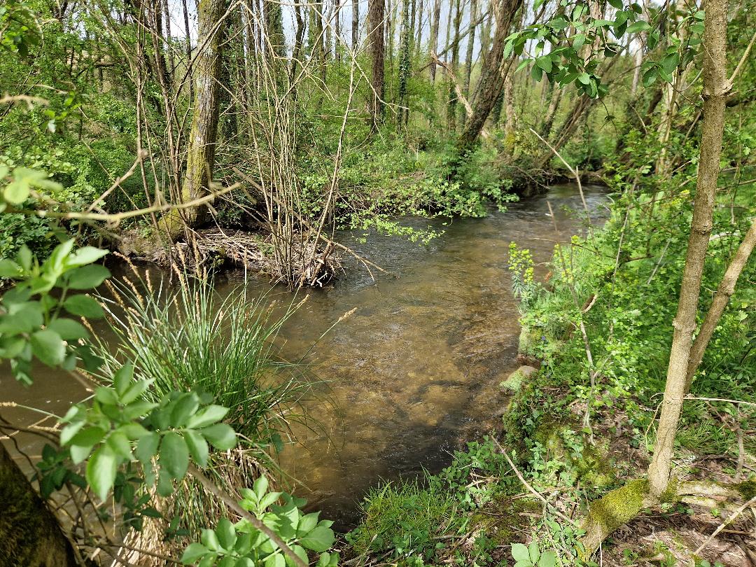 Surveillez les dates d'autorisation de pêche en wading pour ne pas saccager les frayères;