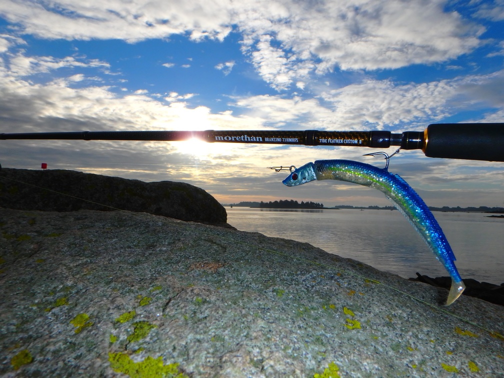 Pour les pêches à gratter aux leurres souples, on privilégiera une action de pointe  et un carbone haut module pour la réactivité et la résonance.