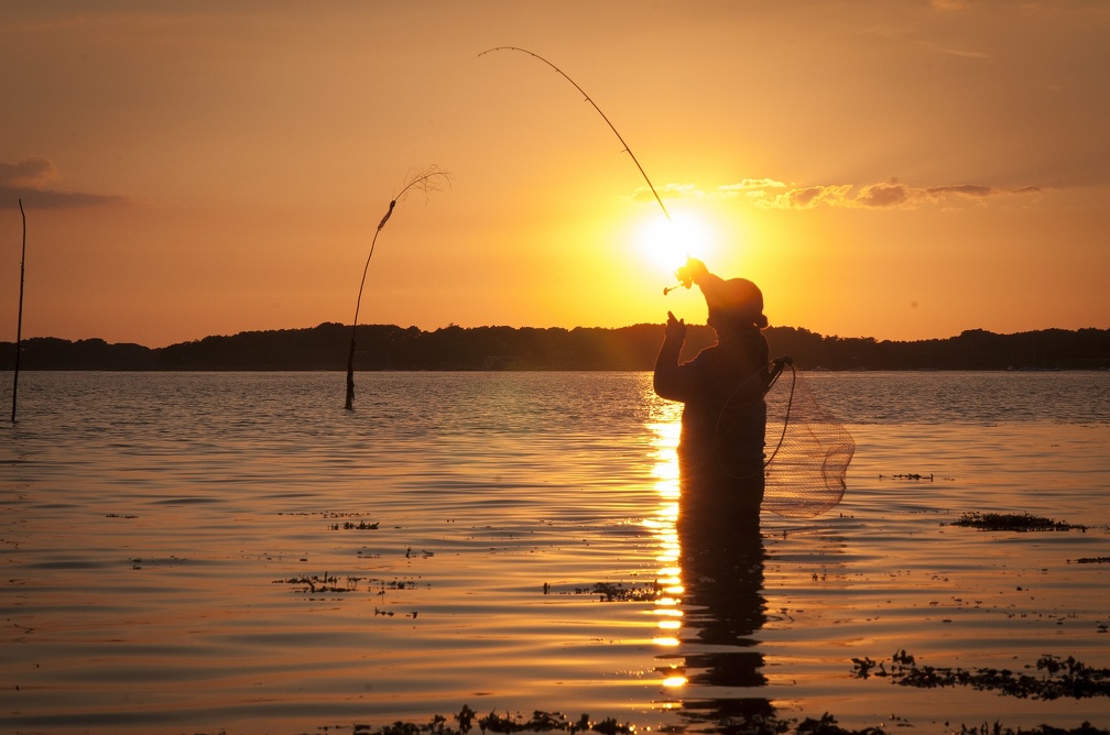 Du bord, la longueur est régulièrement un critère de choix !