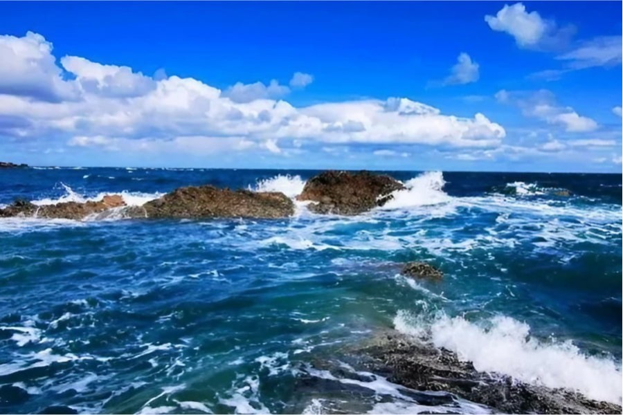 NOS CONSEILS - Vos premiers bars