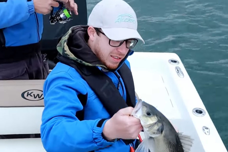 Battle pêche du bar dans le golfe du Morbihan
