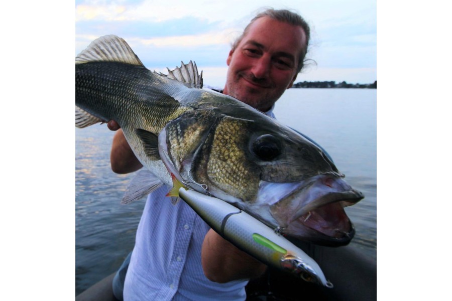 NOS CONSEILS - Le bon matériel pour la pêche du bar au poisson nageur