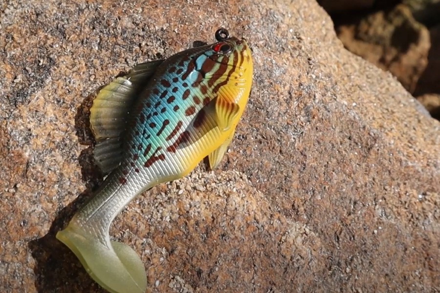 NOS PRÉSENTATIONS - Leurre Megabass Sleeper Gill