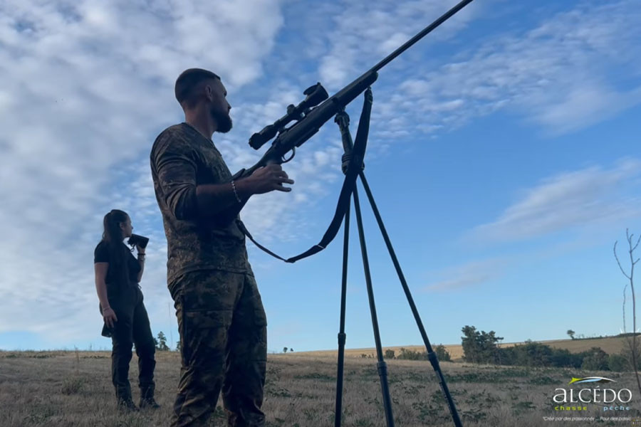 2 Soirées, 2 Renards - Chasse d'été à l'approche