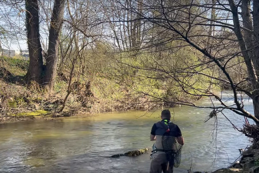 Sortie pêche aux leurres au bord du Lot