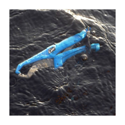 Pince a poisson flottante CUDA cuda